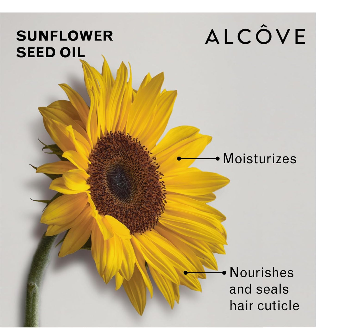DAILY SHAMPOO ALCÔVE